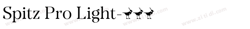 Spitz Pro Light字体转换 Spitz Pro Light字体转换
